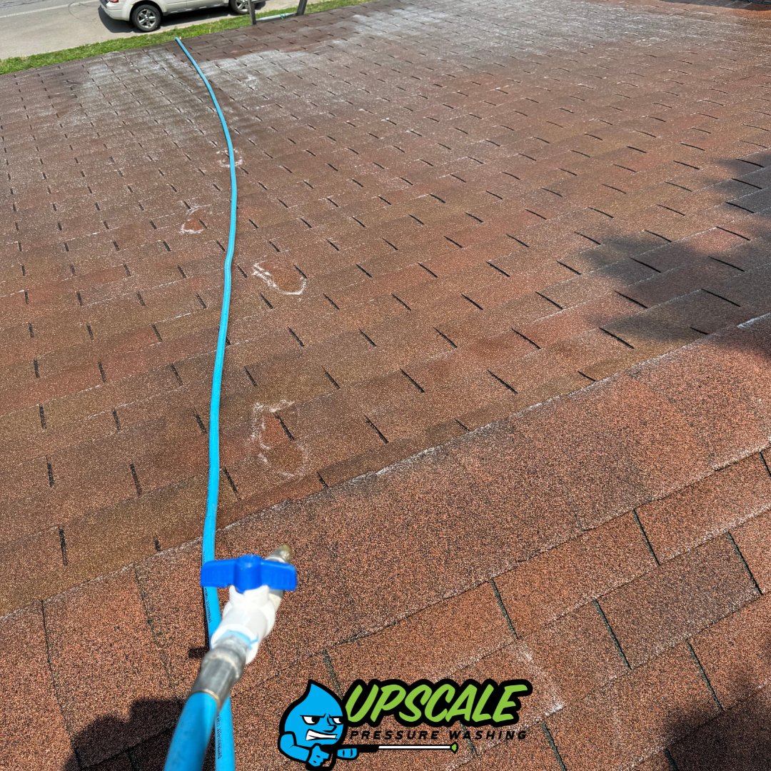 Roof Cleaning results — Columbus, Ohio